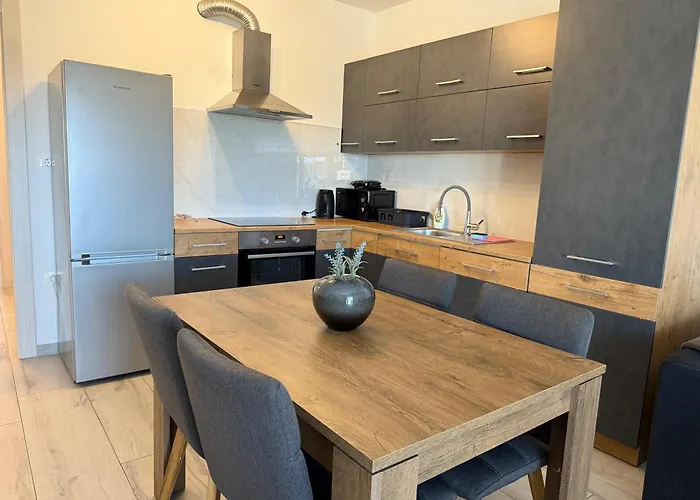 Panda - Free Parking * 풀라