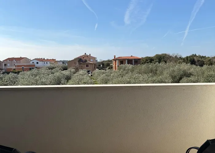 Panda - Free Parking *