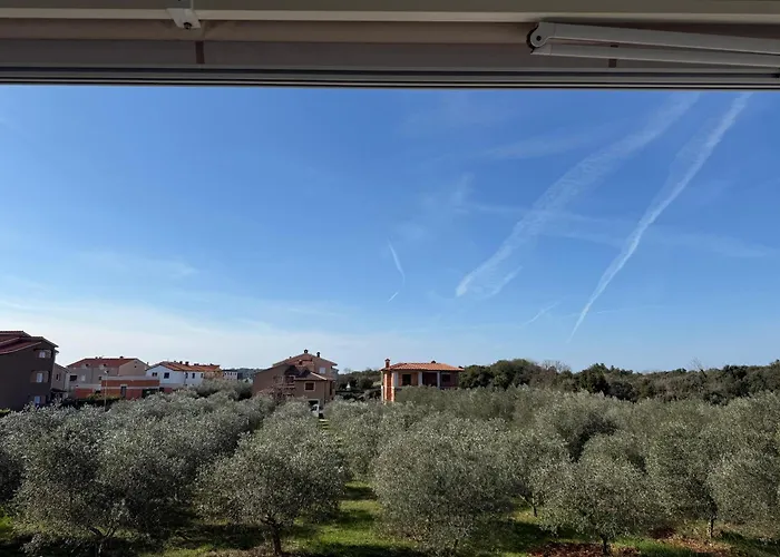 Panda - Free Parking * 풀라